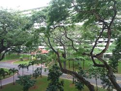 Blk 2 Bedok South Avenue 1 (Bedok), HDB 3 Rooms #111310462